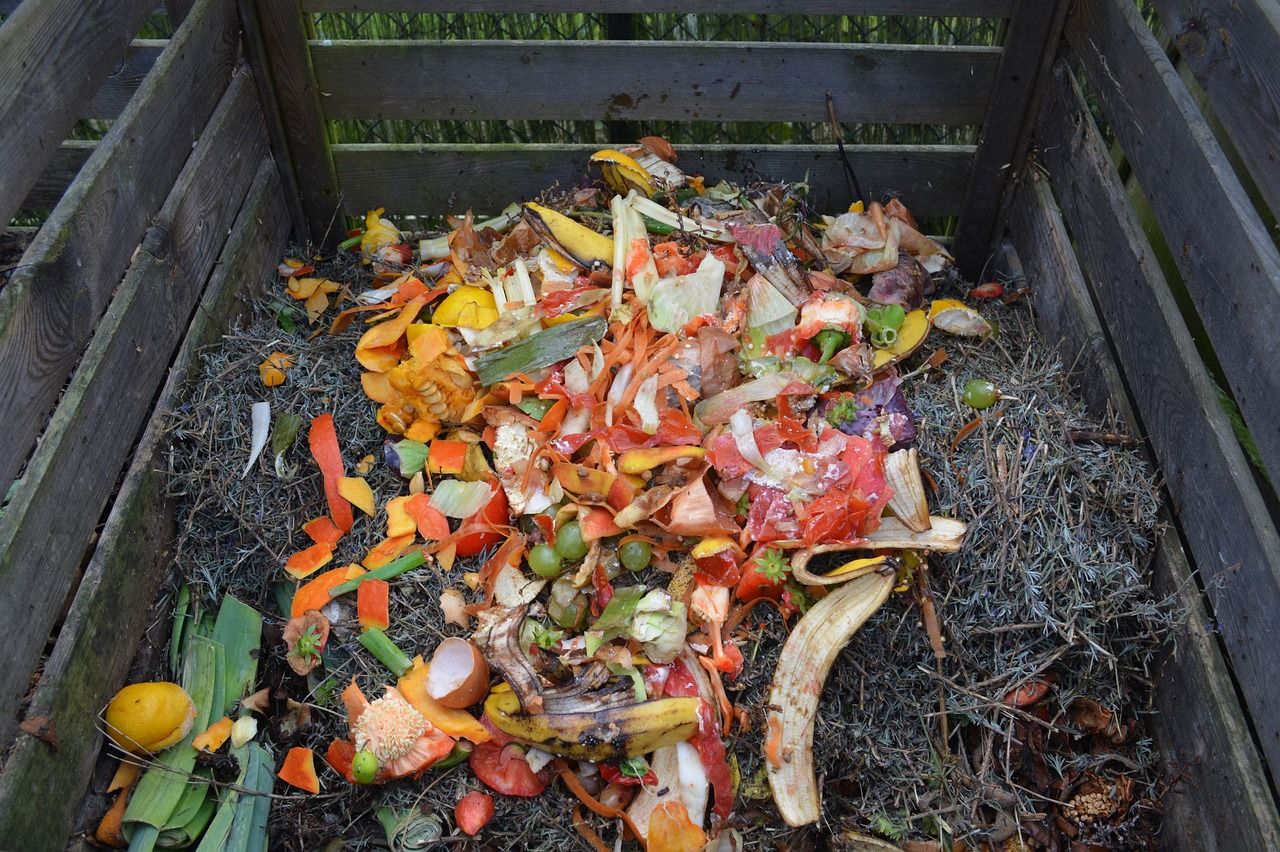 A wooden outdoor composting bin with lots of fresh kitchen peelings added to the top