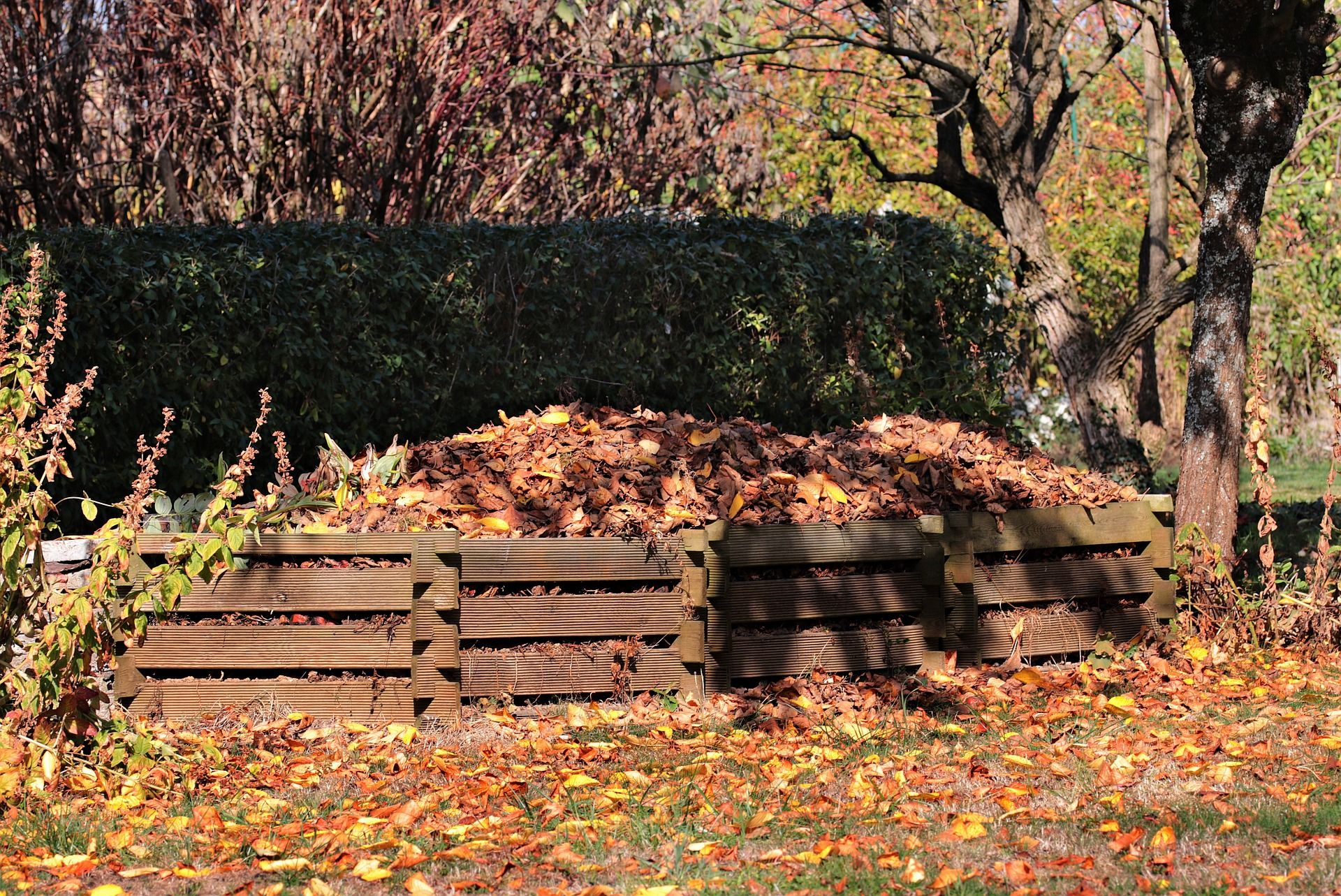 A large wooden composting setup in a garden during autumn