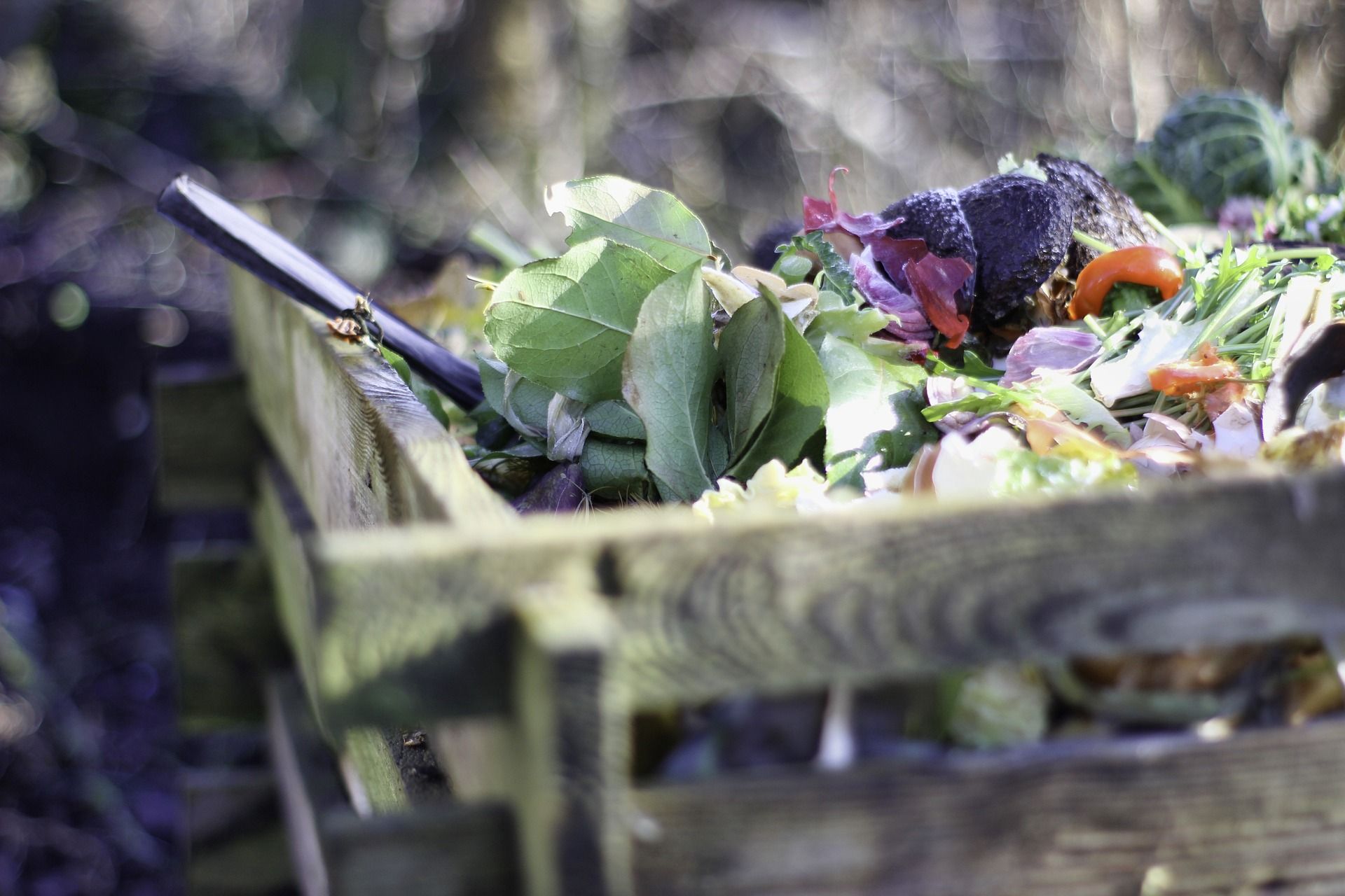 A close up shot of leaves and plants discarded on a compost heap