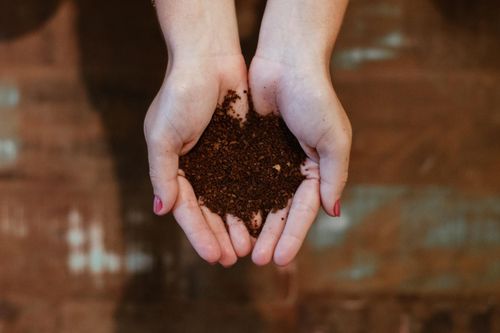 A close up of two hands holding a handful of soil