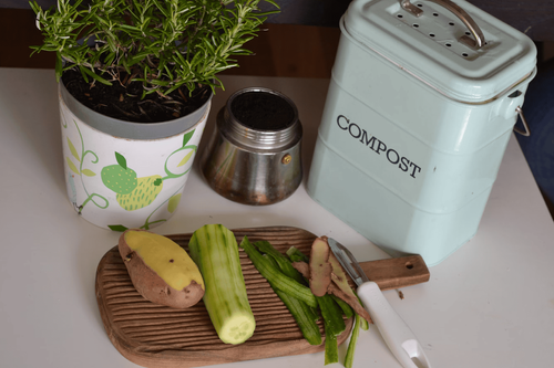 Alt: A close-up of a kitchen composting bin and vegetables on a chopping board