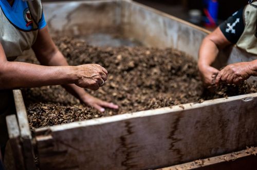 Two people working in a wooden trug of compost with their bare hands